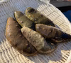 【江田島産】赤・青ナマコ 食べ比べセット