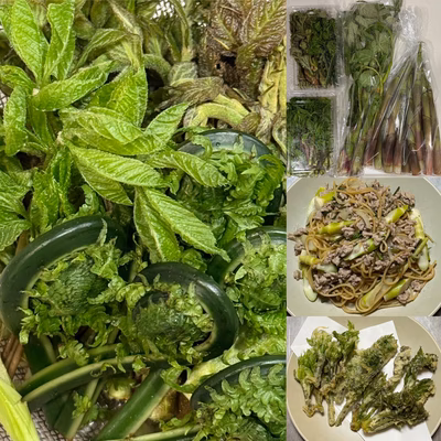 みんなの投稿の画像