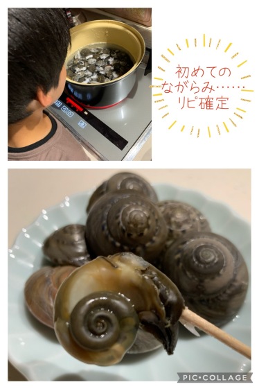 新鮮 九十九里産 大粒活ながらみ 1キロ 約80 90個 農家漁師から産地直送の通販 ポケットマルシェ