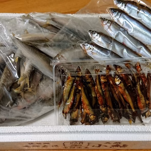 ★冷凍★　琵琶湖産【天然】小鮎　お試しセット！　稚鮎・子鮎