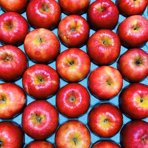 ピンクレディ訳あり5キロ箱　加工用！