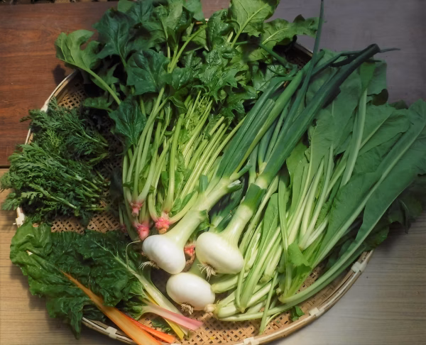 【訳アリ】野菜セット Lサイズ