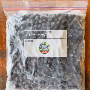 冷凍霧島ブルーベリー(鹿児島県産)加工用