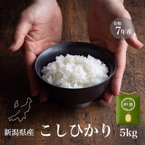 新潟県産コシヒカリ,和泉,５kg,令和7年新米,【受注後精米・農家直送】