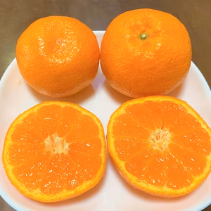 『秀品』　和歌山県産　温州みかん　（S~Lサイズ混合）