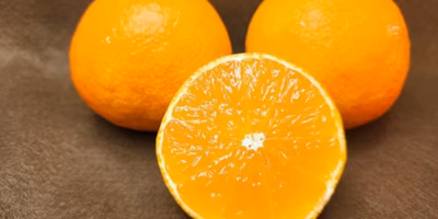 【今週の新着商品】プルっとゼリー食感「マドンナ」、甘さにほっこり「甘香橙にんじん」、選べる「玄米餅」etc.