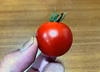 水耕栽培・甘い小型トマト　byサルと闘う農業