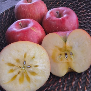 【贈答品】南信州産サンふじ