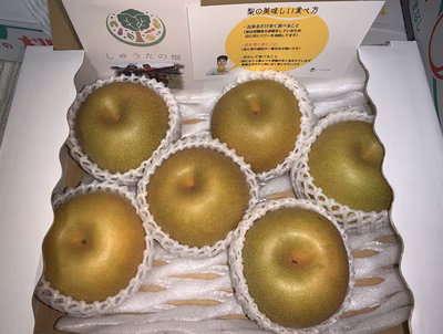 みんなの投稿の画像