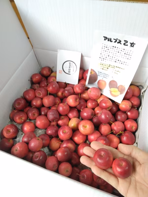 みんなの投稿の画像