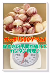【かんたん・べんり】この時期だけの生にんにく☆バラ500ｇ