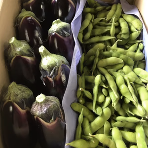 佐藤大農園　お酒のおつまみセット（枝豆と手作り茄子漬け）土日限定販売