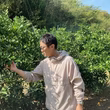 柴田將志
