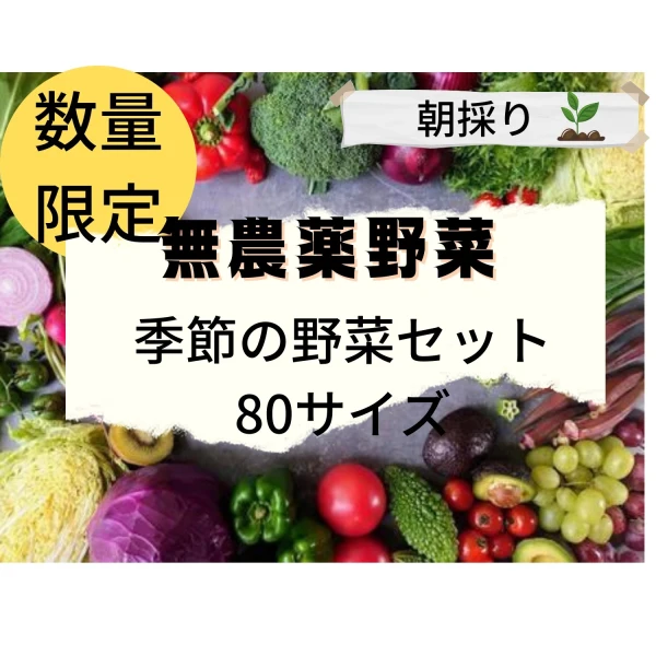 季節の旬の野菜セット80サイズ｜野菜の商品詳細｜ポケットマルシェ