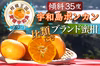 【日テレ出演で話題】脳を揺さぶる高糖度宇和島ポンカン☆お試し約1kg【3月予約】