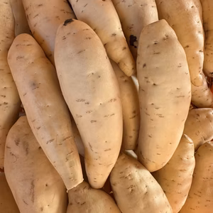 まろやか系【 きみまろこ　サイズ混合(S〜L)  】千葉県産 さつまいも