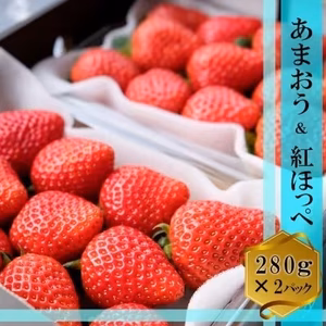 【朝採れあまおう×紅ほっぺ】280ｇ×2