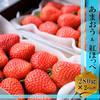 【朝採れあまおう×紅ほっぺ】280ｇ×2
