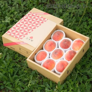 【６月下旬】山梨市からお届け「三十屋」の木熟桃(3kg 9-11玉)