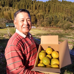 スイートスプリング