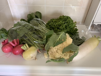 みんなの投稿の画像