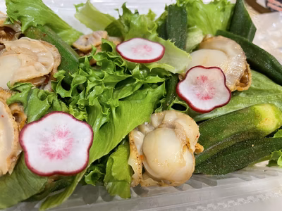 みんなの投稿の画像