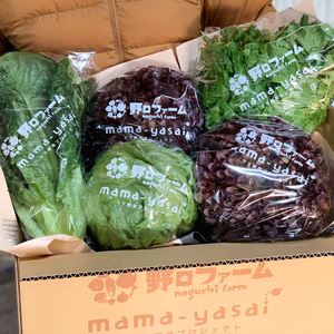 子どもたちがパクパク食べちゃう♪おかわりレタスセット