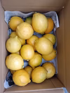 皮も使える広島県産レモン  訳あり品 2kg(約20個入)即日発送可能