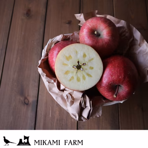 2017 MIKAMI FARM SUN FUJI 5kg 18玉 middle