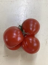 超お買い得‼️【大大大収穫祭】ぴちぴちトマト