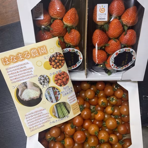 はなまる農園のこだわり詰め合わせ❣️