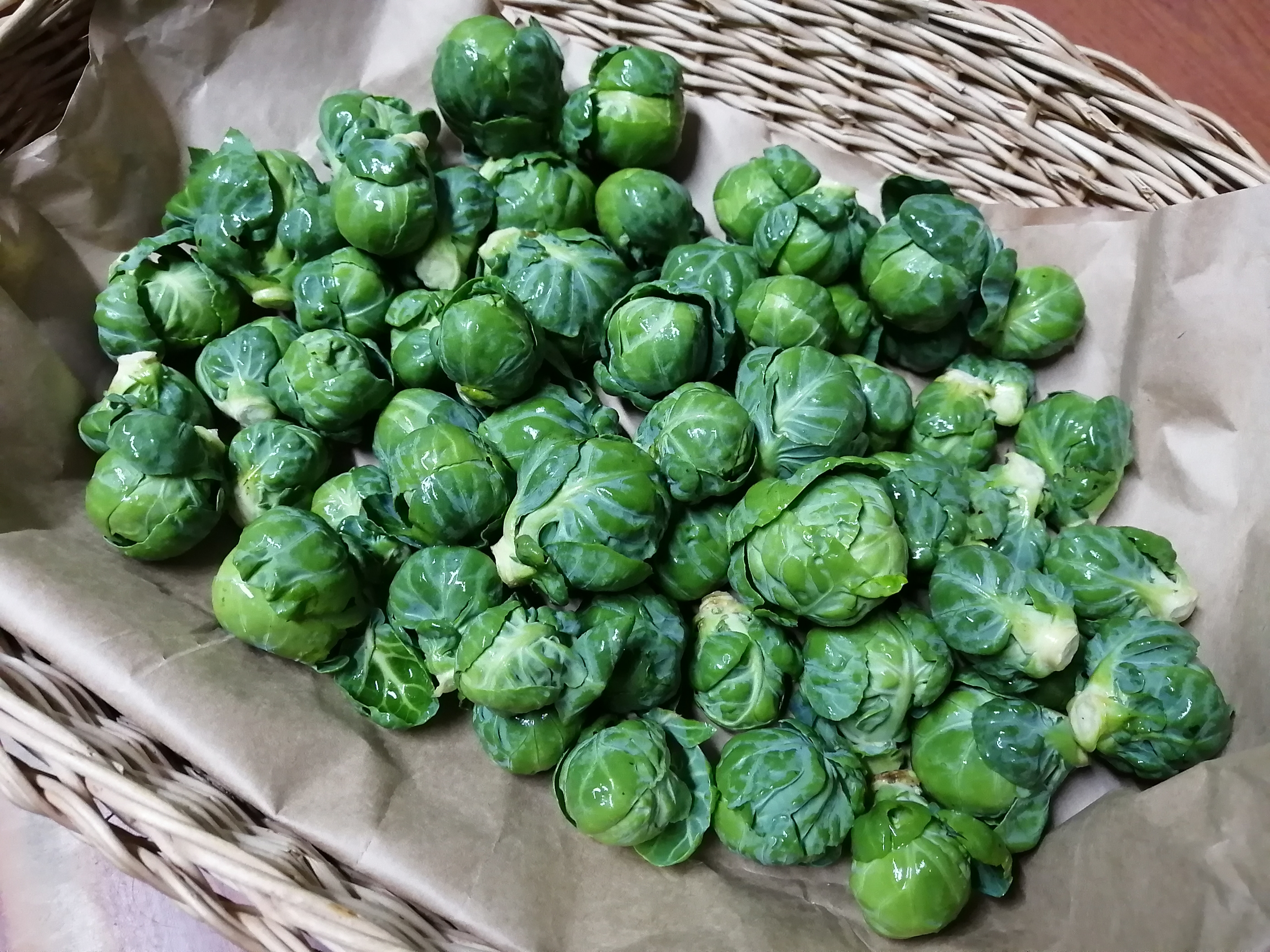 まもなく終了 レシピ入り 雪国育ちの芽キャベツ 1袋600ｇ入 農家漁師から産地直送の通販 ポケットマルシェ