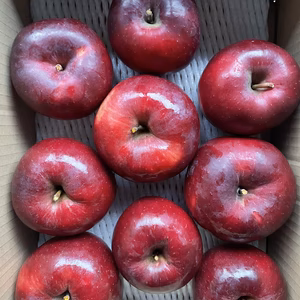 【ご家庭用】訳ありりんご◡̈ こうみつ