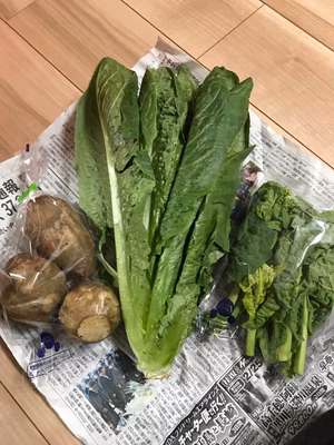 みんなの投稿の画像