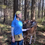 柳 美子 | ふもとのジャージー牧場