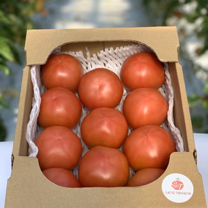 【新鮮】大玉トマト　2kg箱詰め　×　2セット（約4kg）