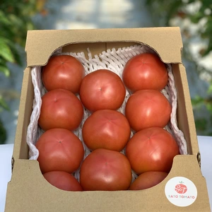 【新鮮】【収穫当日出荷】大玉トマト　2kg箱詰め