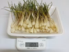 訳あり 小ぶり 石垣島産 島らっきょう 300g (農薬･化学肥料不使用)