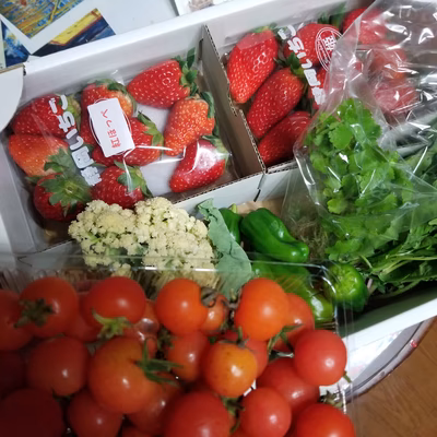 みんなの投稿の画像