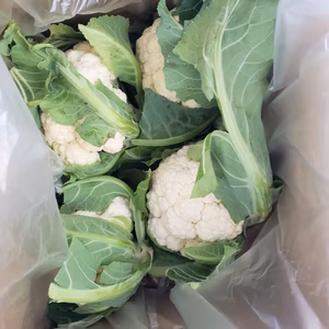規格外カリフラワーの箱詰め　3キロ