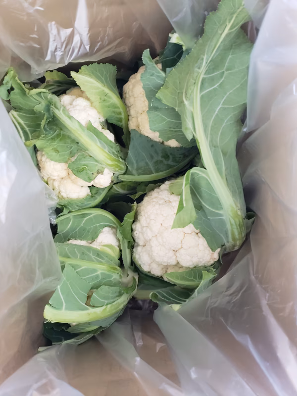 規格外カリフラワーの箱詰め　3キロ