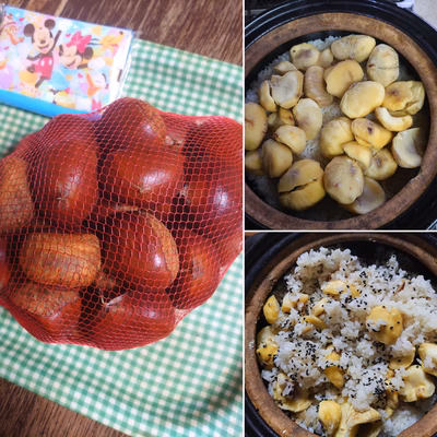 みんなの投稿の画像