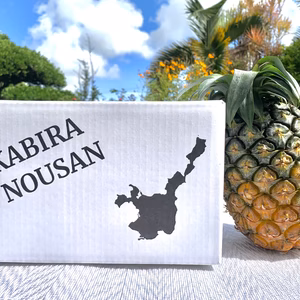 【味に自信あり】　ジュワリーパイン　1玉　1kg〜