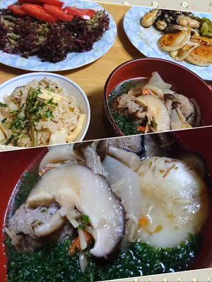 みんなの投稿の画像