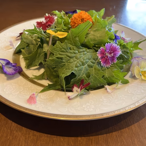 飛騨高山野菜『おおごっつぉ』フラワーサラダセット
