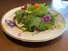 飛騨高山野菜『おおごっつぉ』フラワーサラダセット