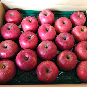 【予約】福島の美味しい林檎　蜜入りサンふじ（中玉）　2ｋｇ～　りんご・リンゴ