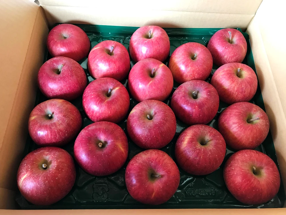 【予約】福島の美味しい林檎　蜜入りサンふじ（中玉）　2ｋｇ～　りんご・リンゴ