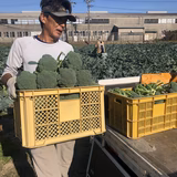 鈴木伸弥 | woodbell