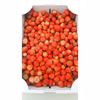 紅ほっぺ　加工用イチゴ　ジャムやスイーツ作りに最適　バラ詰め　１．７Ｋｇ